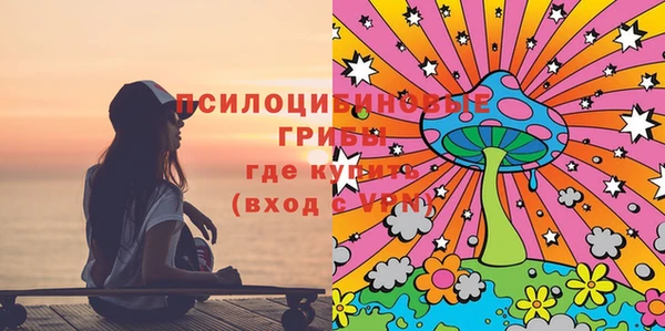 круглые Абаза