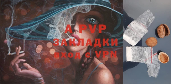 круглые Абаза