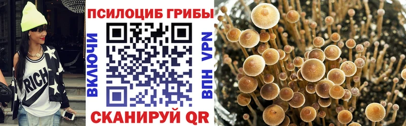 Галлюциногенные грибы ЛСД кракен зеркало Артём